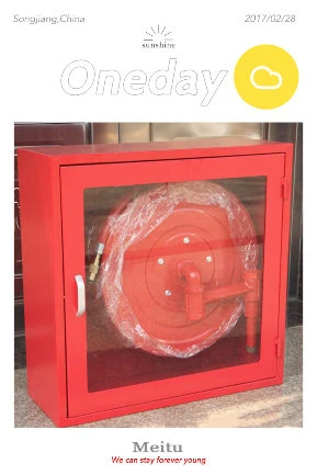 Armoire de tuyau d'Incendie avec vitre de panneau Big Vision