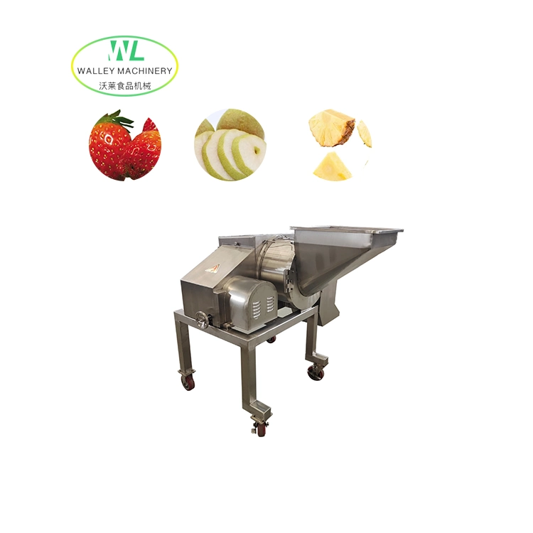 Customizing Scd-400 Dicing Machine for Garlic Clove/Onion