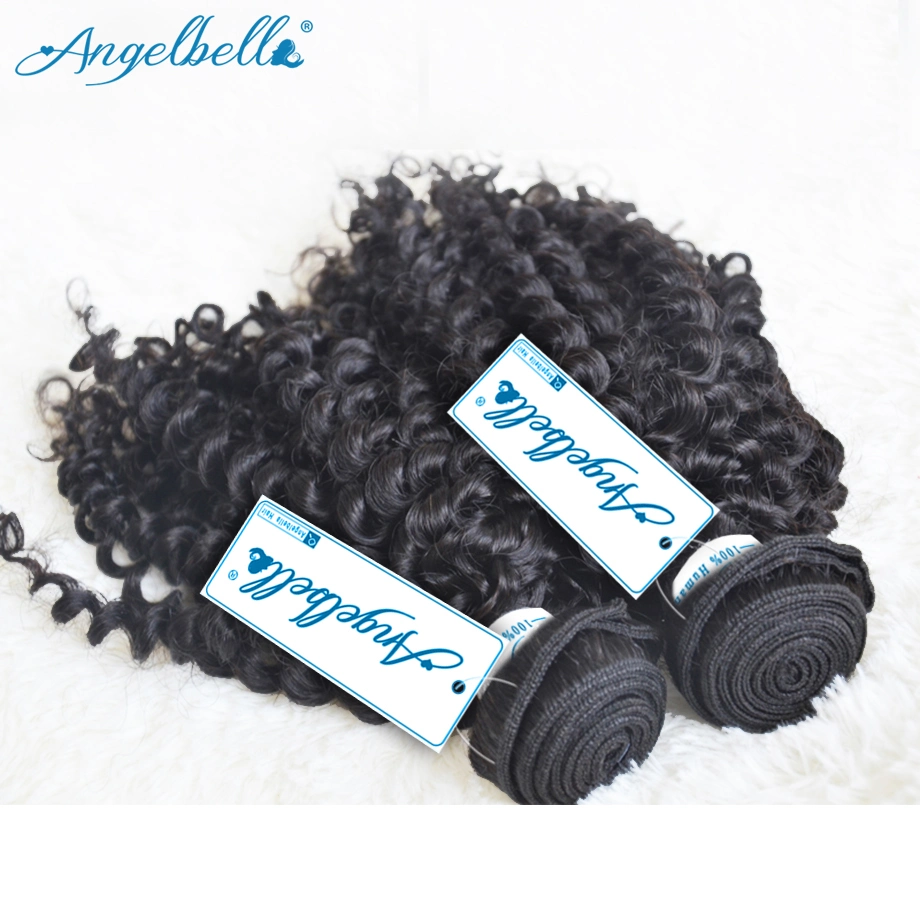 Angelbella Indian Remy Hair Kinky Curly Weave Shedding and Tangle Free Natural Black Raw Human Hair