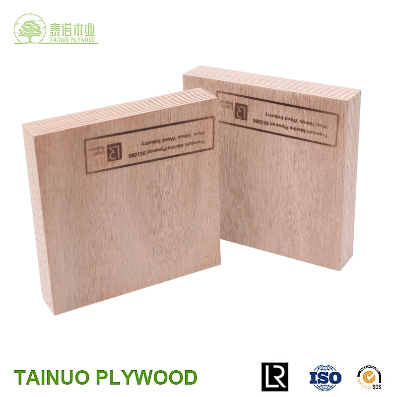 Construction Plywood with WBP Glue