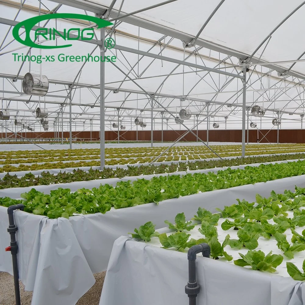 Agricultural Durable Cultivation Hydroponics System Film Greenhouse for Sale