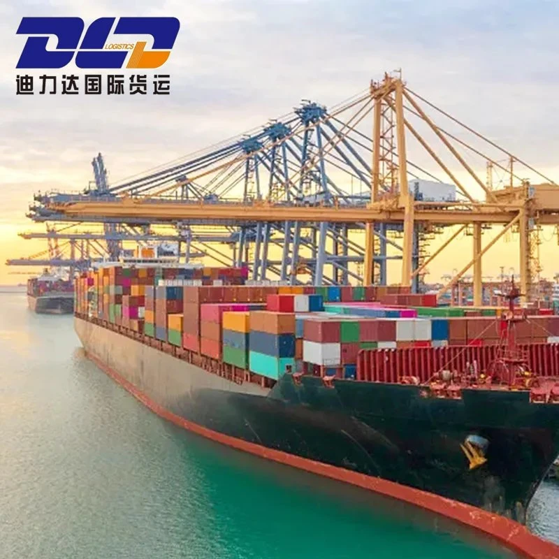 Logistics/Freight Forwarding/China to Malaysia Sea Intermodal Transport DDP