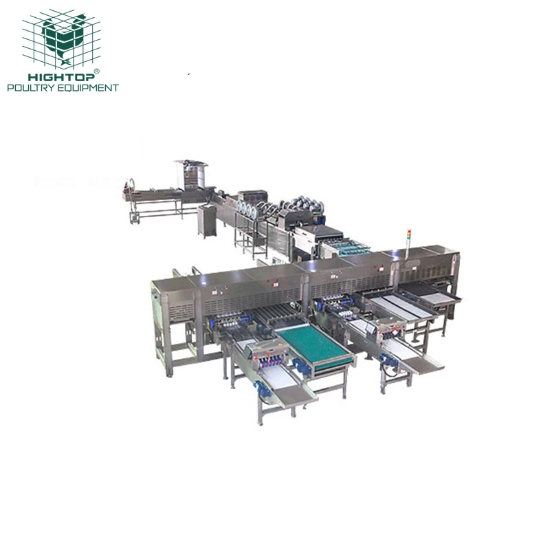 Industrial Simple Egg Weight Cleaning Packing Grading Machine For Chicken Farm