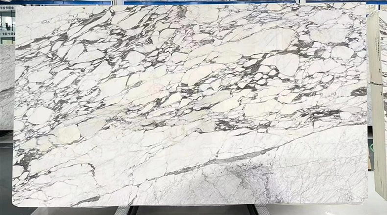 Preço de fábrica Casa de banho com bancada White SlLabs amostra grátis Natural Stone White Calcatta Marble Slab Wall e decoração em mármore