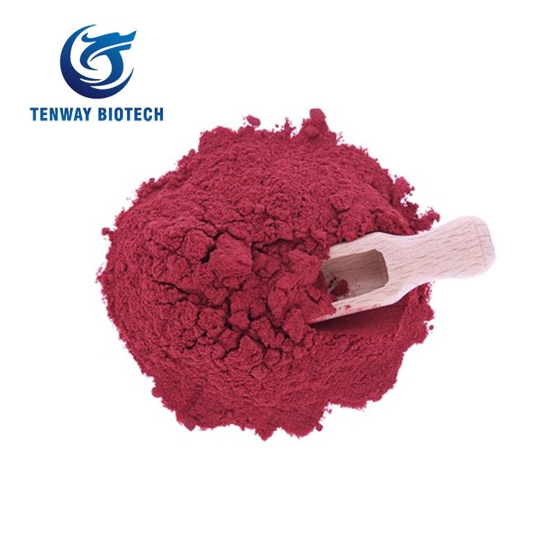 High-Quality Red Powder Food Grade Beetroot Powder Beet Food Additives in Drink Recipes