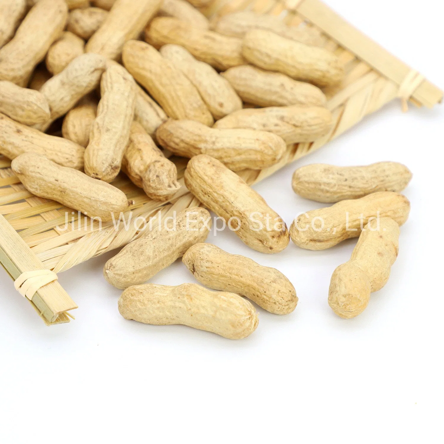 Red Skin Peanut in Shell From Professional Factory to Export