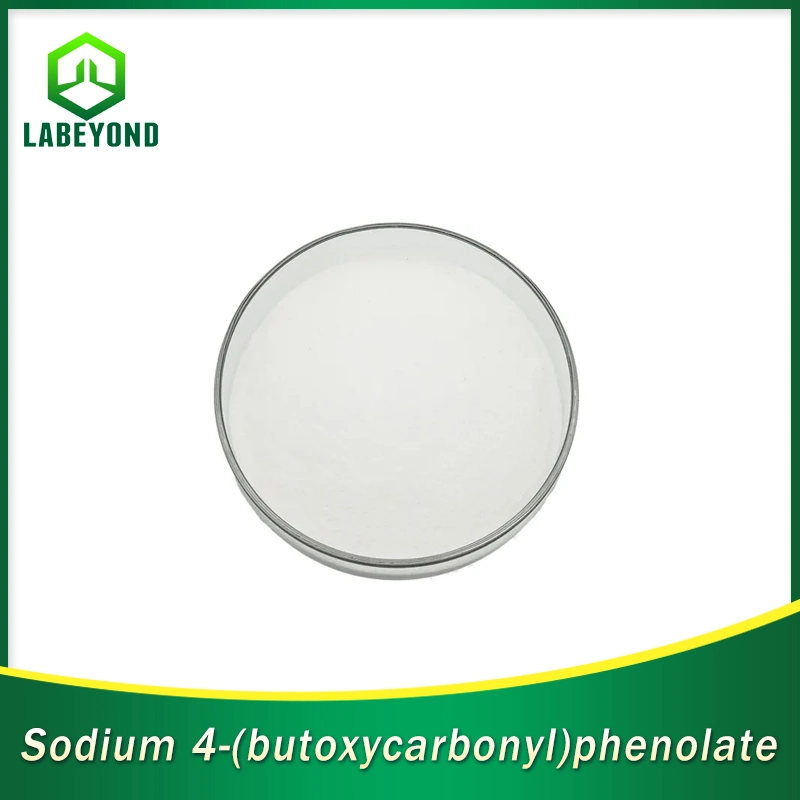 Butylparaben /4- (Sodiooxy) de ácido benzoico Butyl Ester CAS 36457-20-2