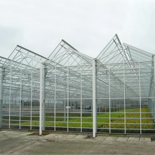 2023 Factory Supply Agricultural Polycarbonate Greenhouse with Nursery System