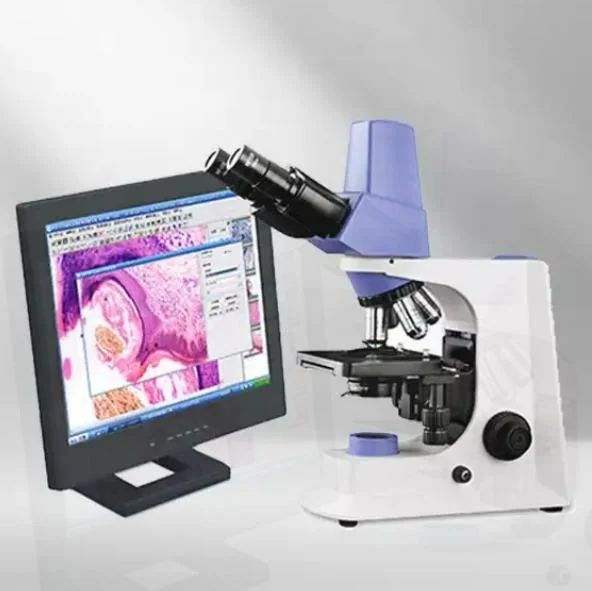 Mini-instrument de laboratoire système optique microscope biologique binoculaire pour le médical Recherche