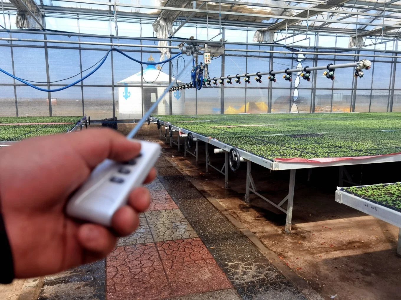 الزجاج المنزل الأخضر / Hydroponic الدفيئة النظم المتنامية / البيت الأخضر منخفض التكلفة