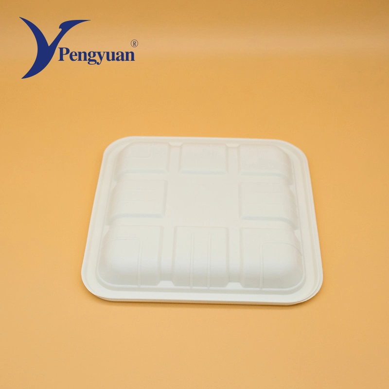 Corn Starch Disposable Paper Food Tray