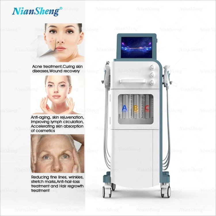 Niansheng 9 in 1 Skin Rejuvenation Beauty Equipment