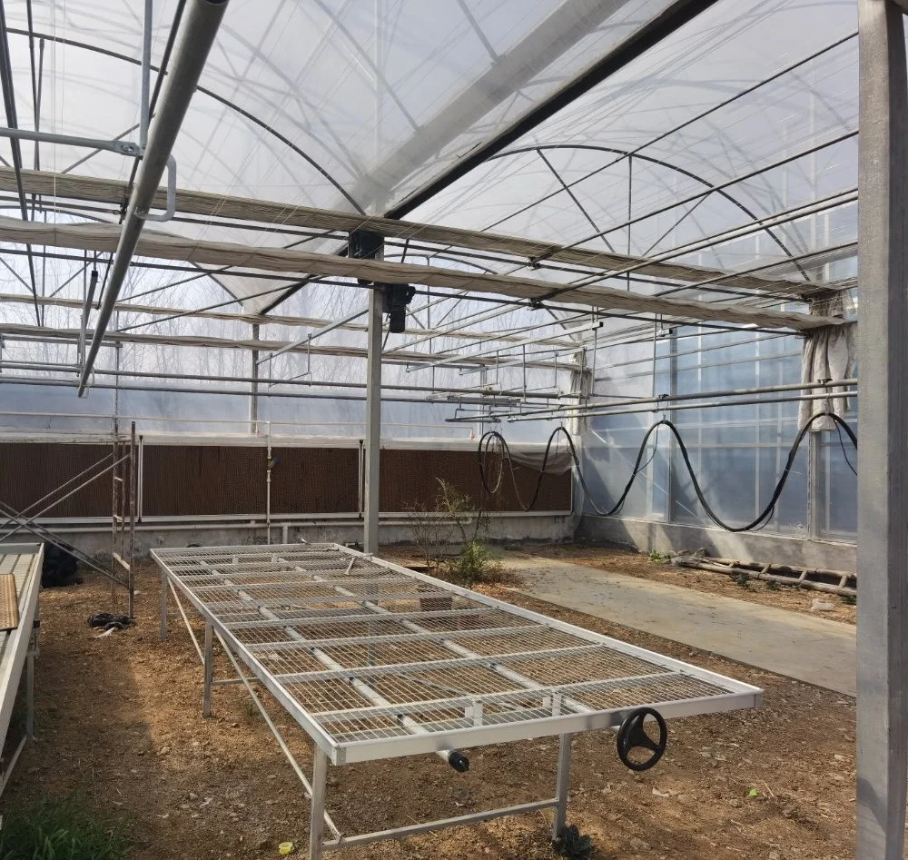 Hidroponia Planta Inteligente Torre Vertical Sistemas crescente Multi-Span Estufas com película de tomate de estufa Jardim crescer tenda