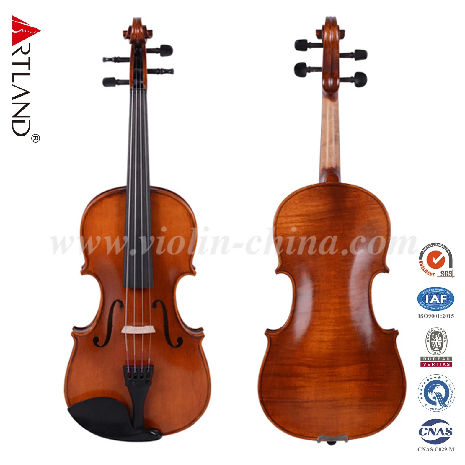 Hand Made Solid Wood Violin (AV50) Advanced Violin