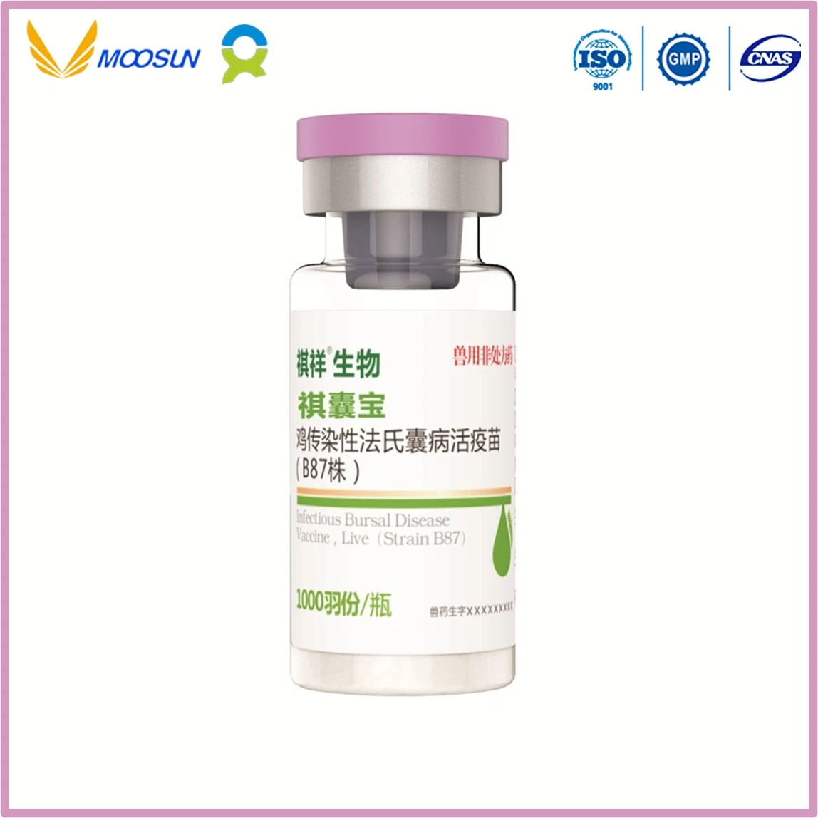 Fabricación de Vacunas Veterinarias Vacuna contra la enfermedad Bursal infecciosa, Live (cepa B87) con el GMP ISO