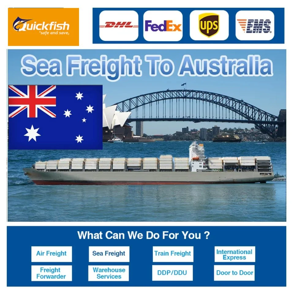 Professional Forwarder Shipping Service Transportation Logistics Best Price for Sea Freight to Australia Mexico