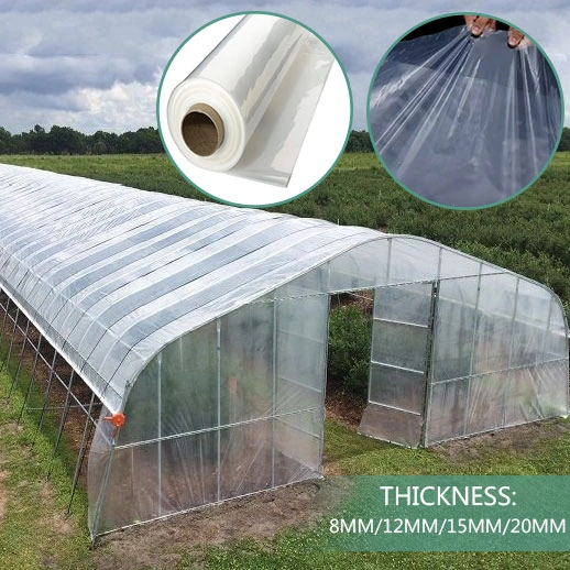 Agriculture Multi-Span Film Greenhouse for Planting Vegetables