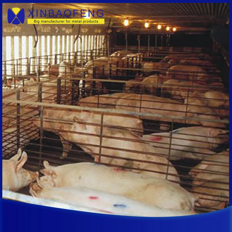 Pig Farm Equipment Pig Fattening Pen Piglet Growth Crate and Hot DIP Galvanized Pig Farrowing Pens with New Design