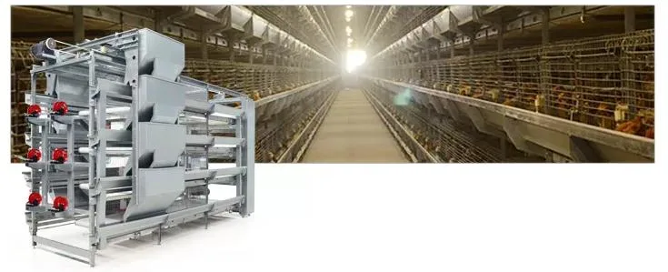 Hot Sale Galvanized Types of Layer Chicken Cages/Chicken Battery Cages Layer