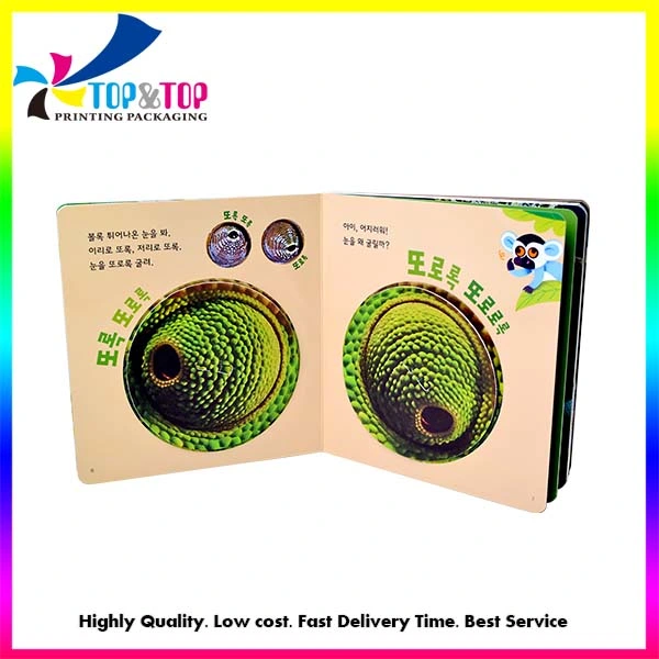 Factory Custom Children Cardboard Chameleon Animal Natural Science Book Magic Book Printing Service