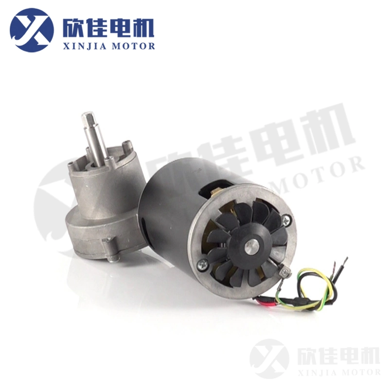 AC/DC Worm Gear Motor Dcr7832 with Magnetic Steel Sheet High Torque 120VDC 240VDC for Home Appliances