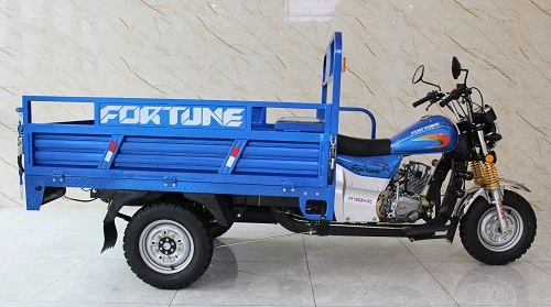 Sky Blue Motorized Tricycle E-Rickshaw Passenger Tricycle Threewheel Motorcycle Cargo Bike