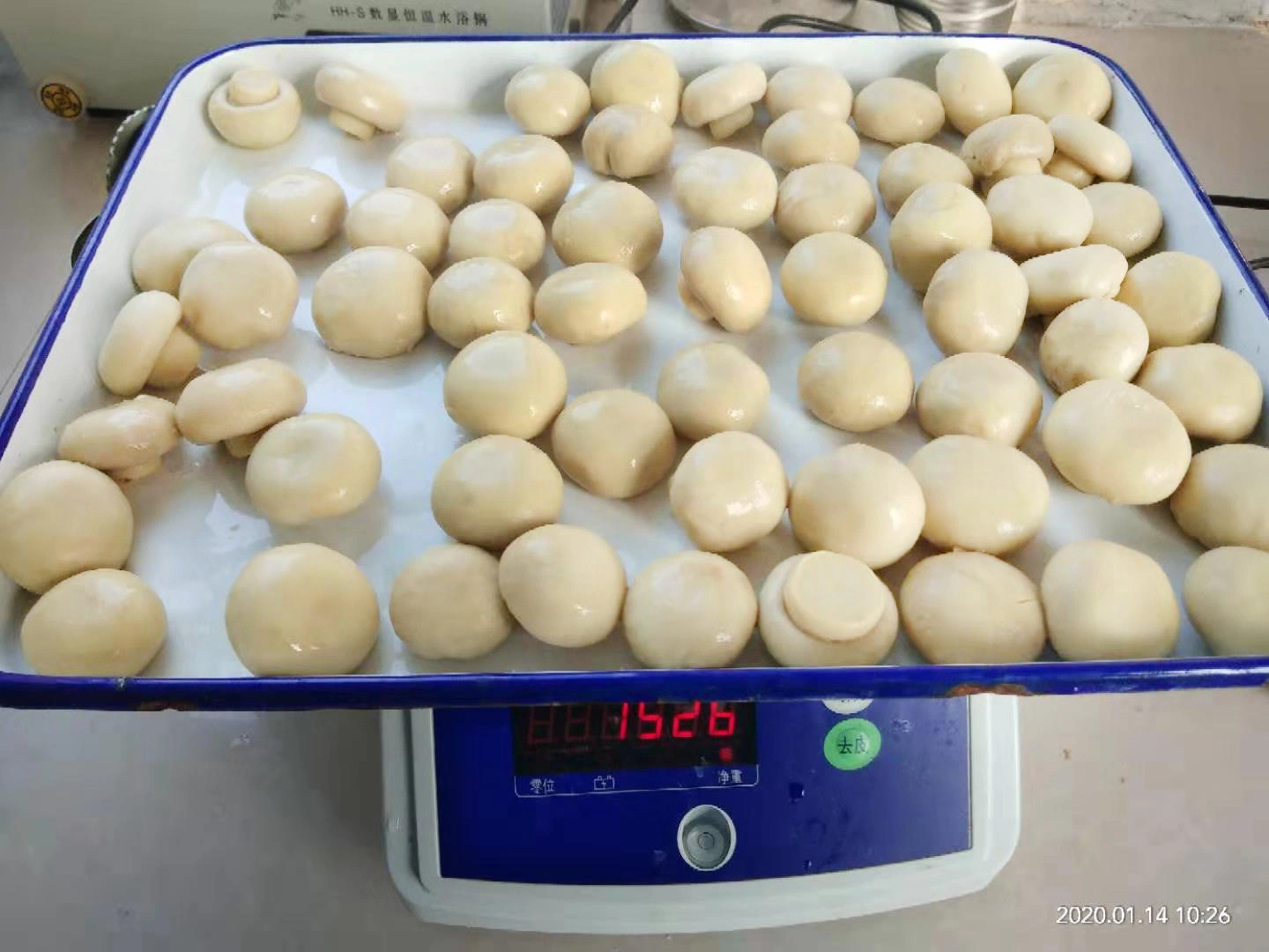 Canned Champignons Whole Mushroom for Catering