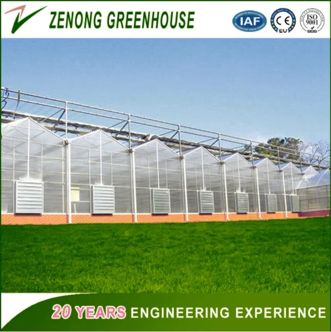 China Hot Sale Greenhouse Covered with PC Board for Exhibition/Seed-Breeding/Flower/Vegetable/Ecological Restaurant/Scientific Research/Garden