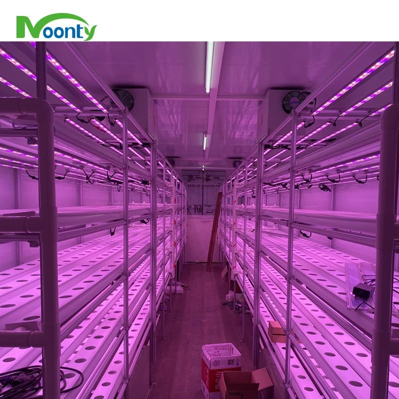 Vertikales Nft Hydroponic Growsystem Billig Kommerzieller Nft Kanal Wächst System mit Bewässerungssystem für Lecturre Gemüsegurke Erdbeere