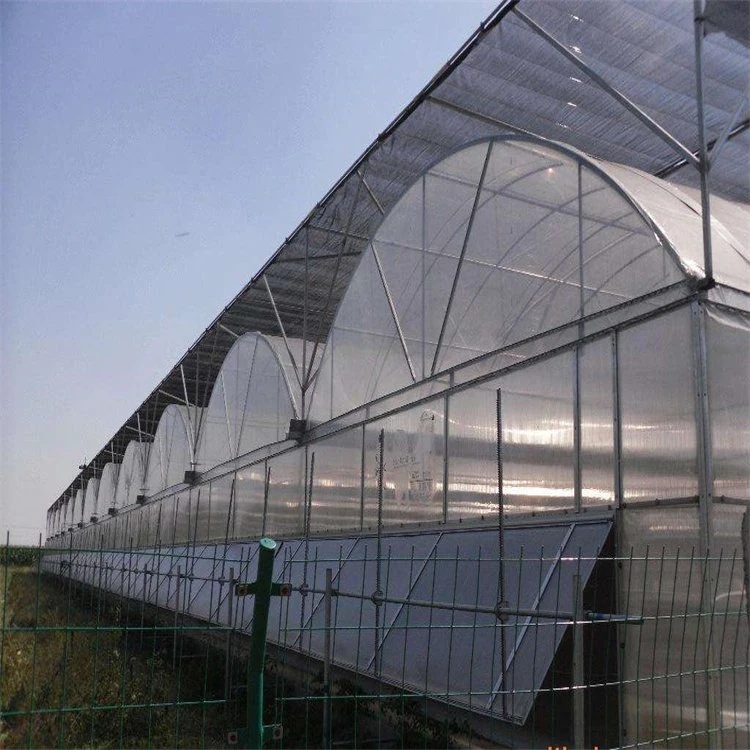 Sun Shade Net HDPE Plastic Vertical Farming Companies Green House Supplier Garden