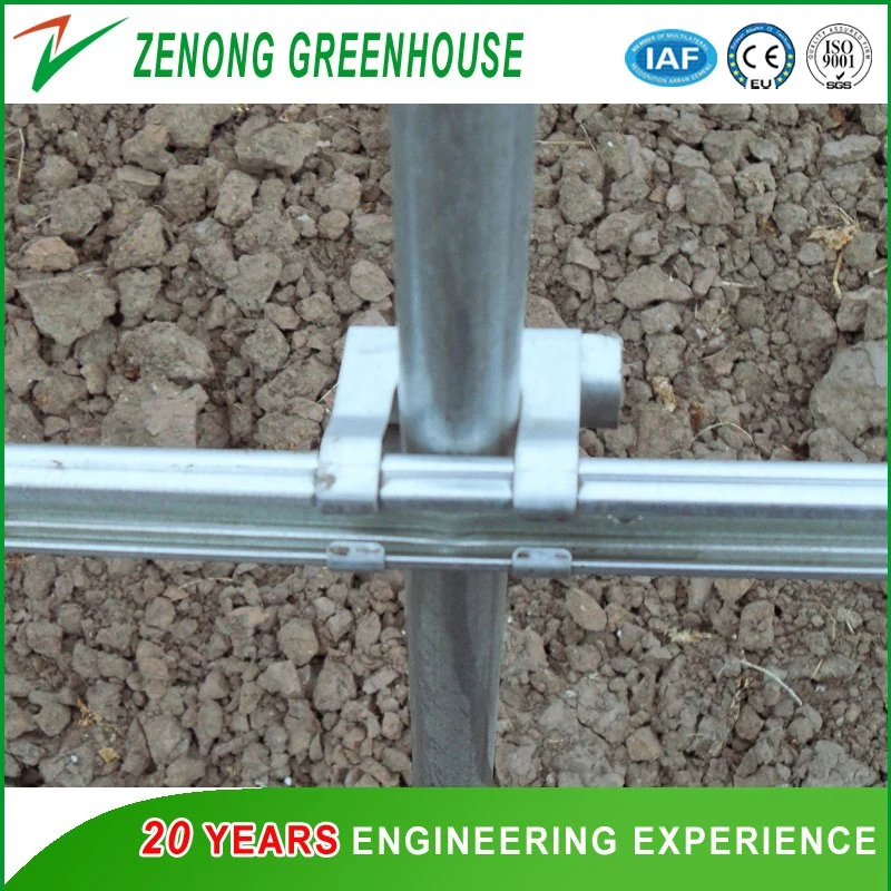 Good Quality Small Greenhouses with Ventilation/Film Rolling Device for Vegetable/Flower Cultivation