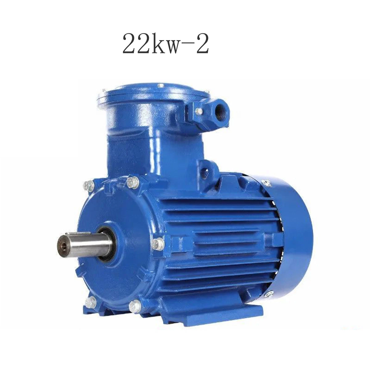 Vertical Horizontal Electric Explosion Proof Motor
