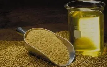 Premium Quality Soybean Olein Crude Soybean Oil Bulk Stock at Cheap Price