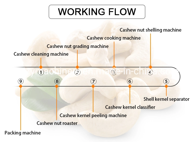 Raw Cashew Nut Processing Machine Cashew Nut Shelling Machine Cashew Manufacturing Machine