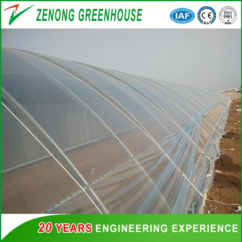 Hot Sale UV Coated Po Film Covered Solar Greenhouse with Favorable Price