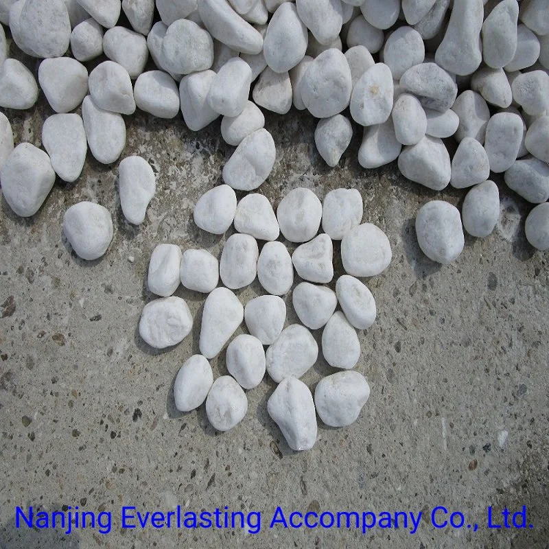 Wholesale/Supplier Pebble Stone Polished White Crushed Granite Marble Gravel Bean Pebbles