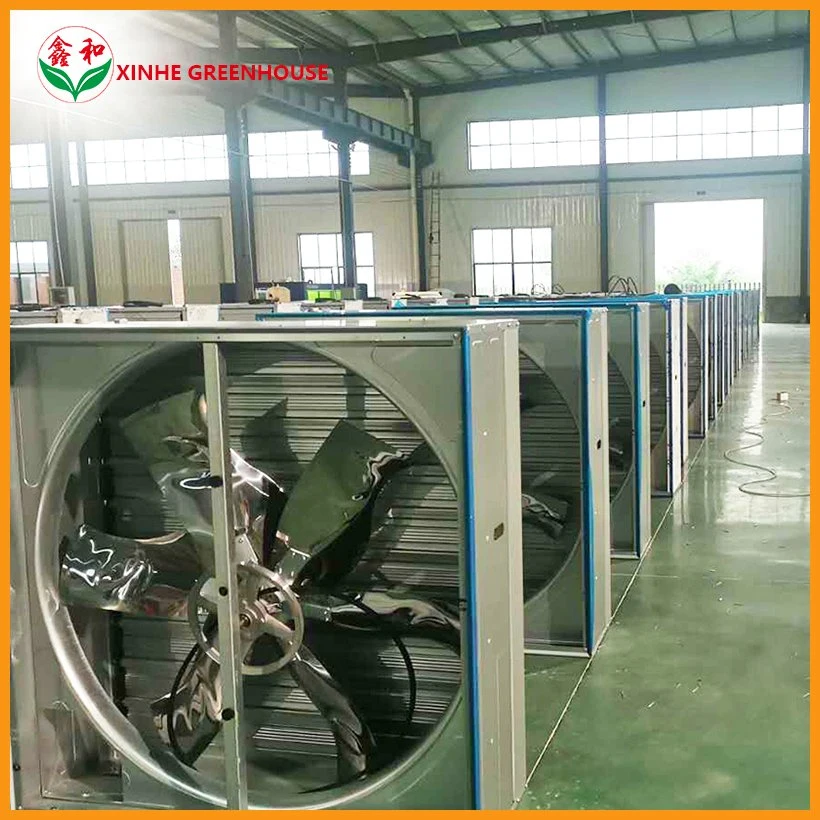 Commercial High Efficient Exhaust Fan for Greenhouse