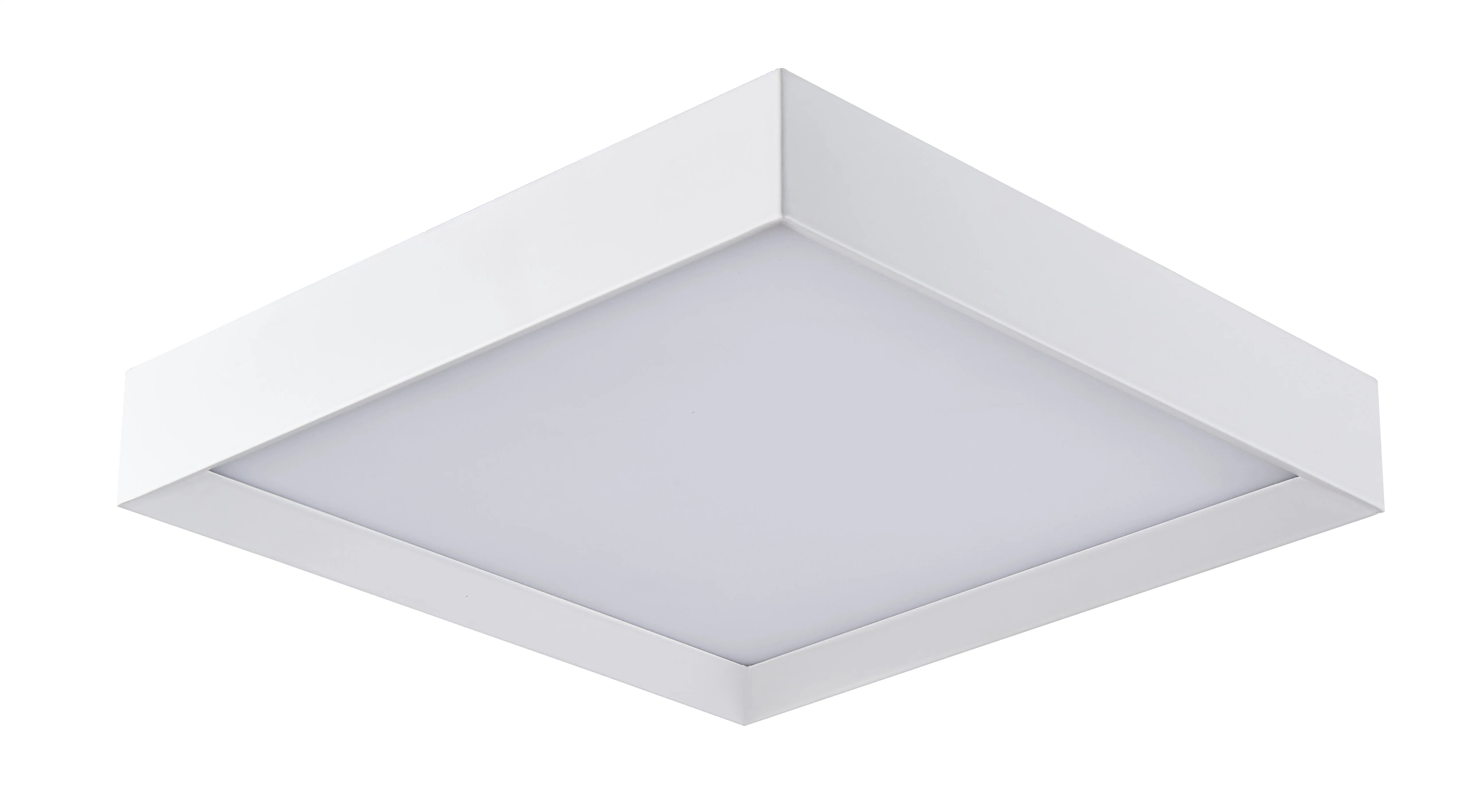 12 pouces carré lumière de plafond LED blanche avec acrylique (C3002)