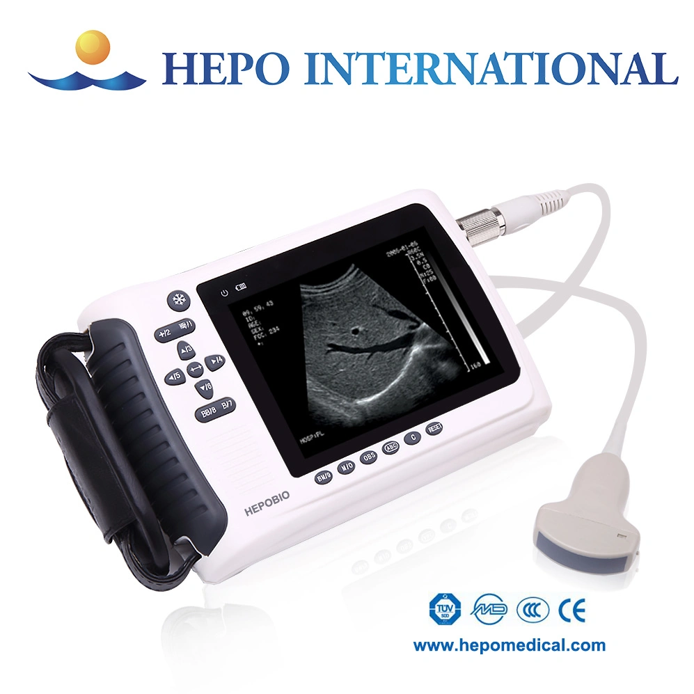 Animal Popular Full Digital Handheld Pregnancy Ultrasound Scanning Machine