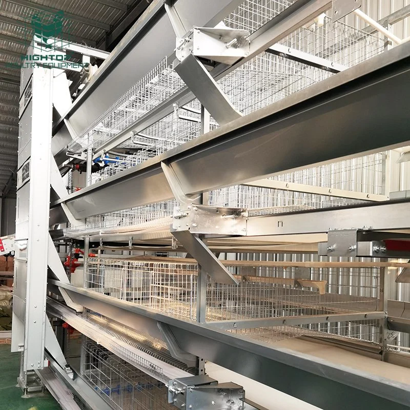 Modern Design Automatic Poultry House H Frame Hot DIP Galvanized Chicken Layer Cages for Sale