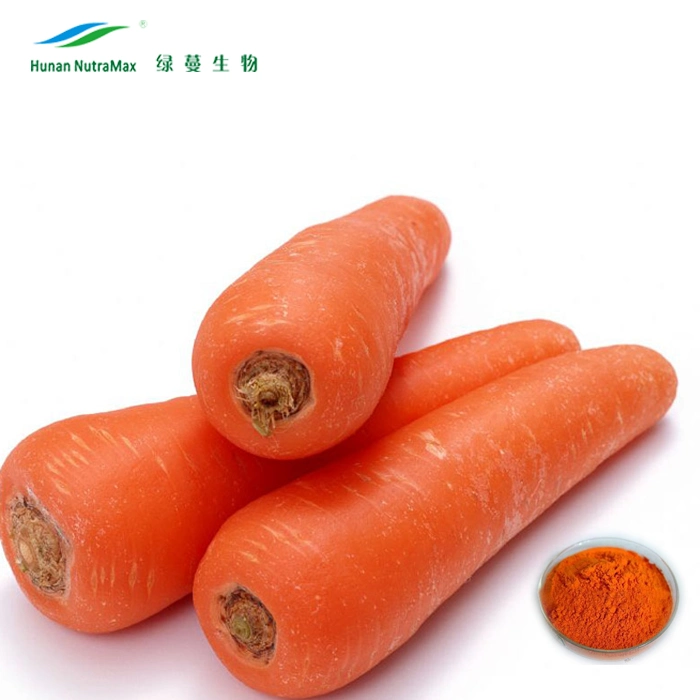 High quality/High cost performance  4: 1~20: 1 Powder Carrot Root Extract