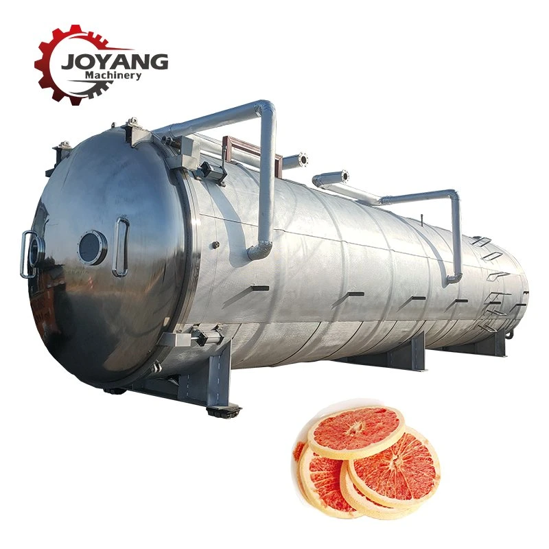 Foof Vegetable Fruit Vacuum Freeze Drying Equipment Machine