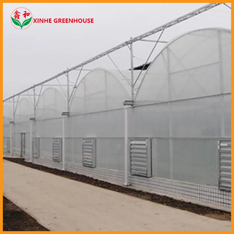 Customized Production Greenhouse Film Greenhouses with Cheap Price