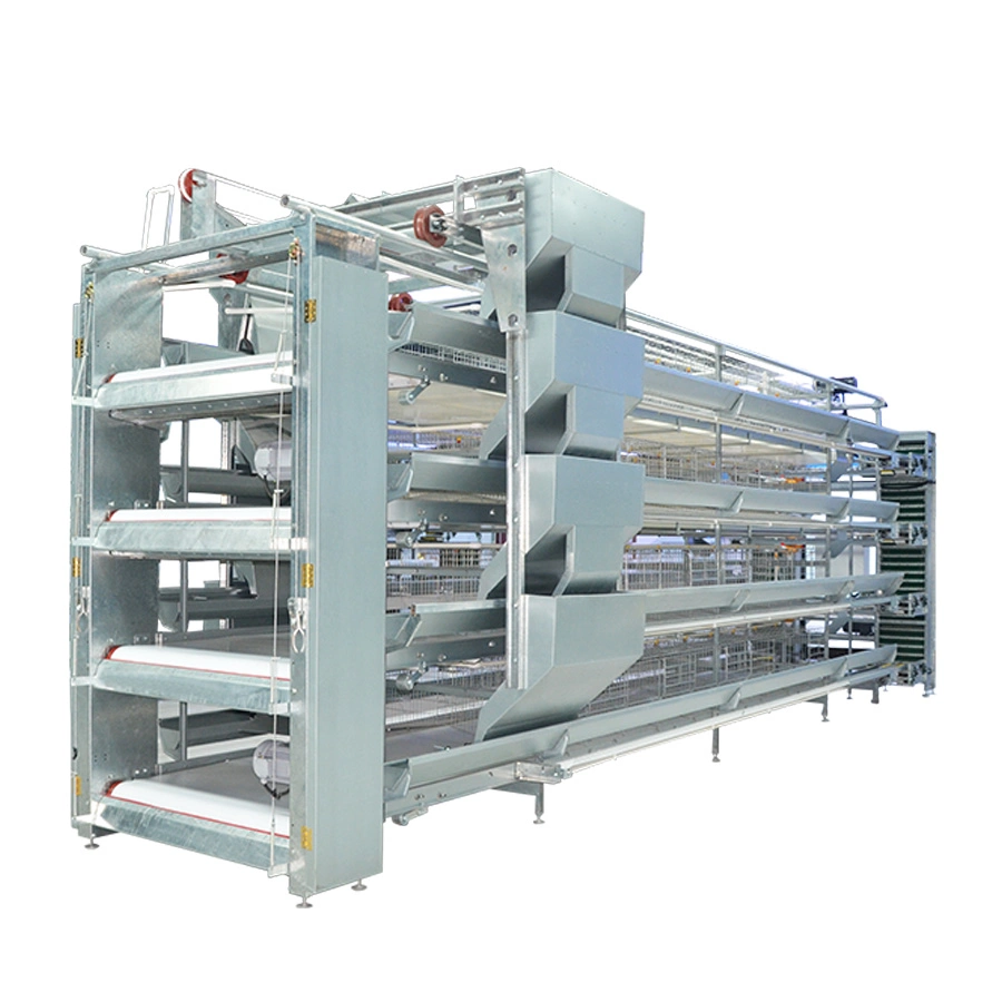 H Type Poultry Auto Feeding Poultry Farm Equipment