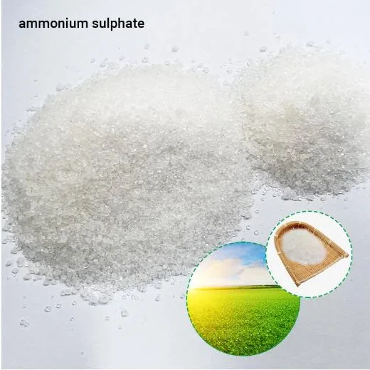 Best Quality and Hot Sale White Granule Nitrater Fertilizer Ammonium Sulphate Granular