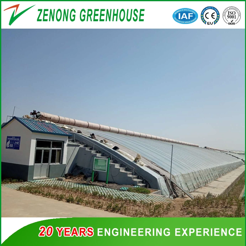 Big Scale High Tech Soil Wall/Brick Wall Solar Greenhouse with Hot DIP Galvanized Steel Frame for Vegetable/Strawberry/Hydroponics for Sale