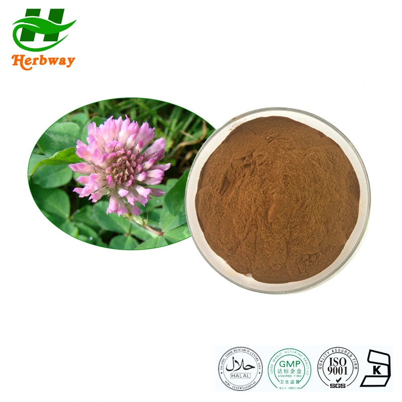 Herbway Health Protection 8% Isoflavons HPLC Red Clover Extract Red Clover Powder