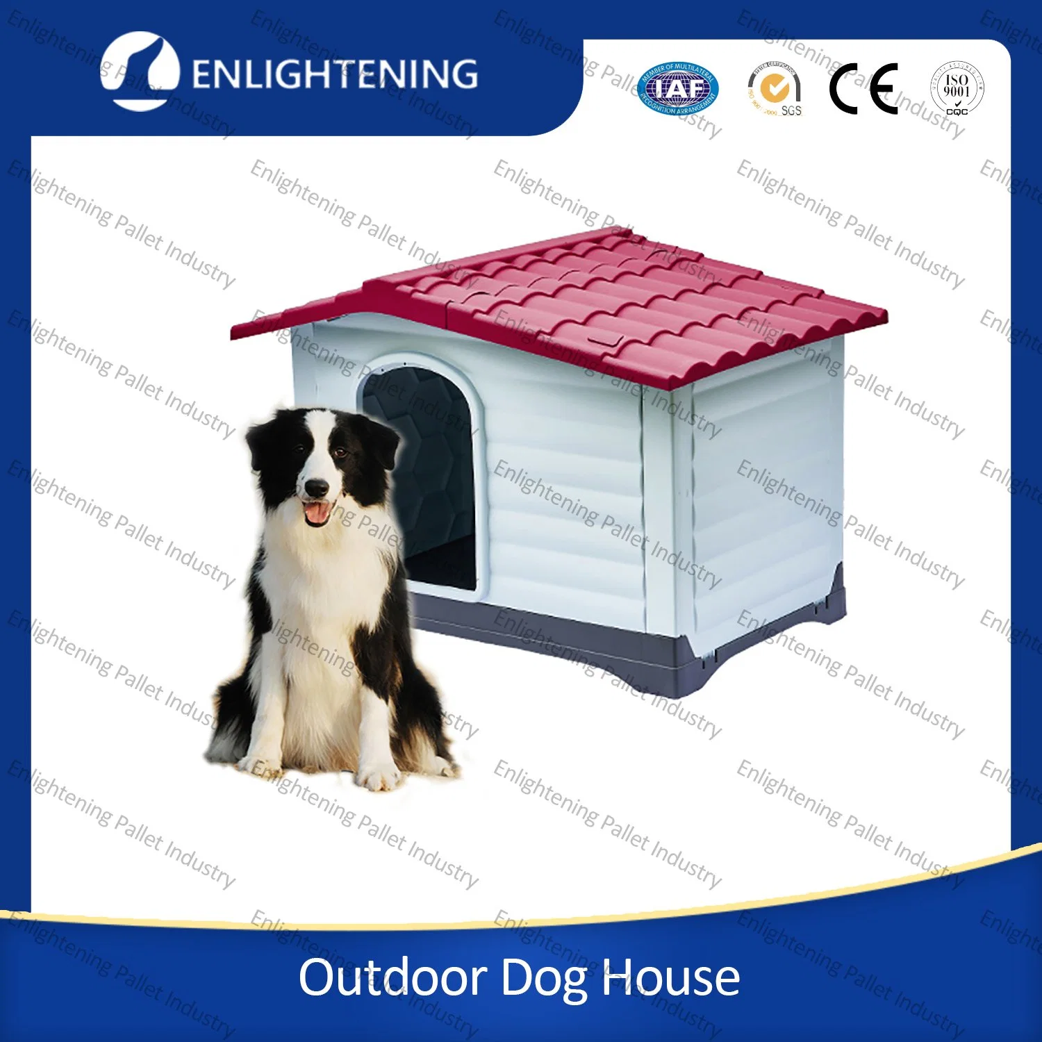 Custom Color Plastic Outdoor Waterproof Pet Cage Cat Dog Kennel House