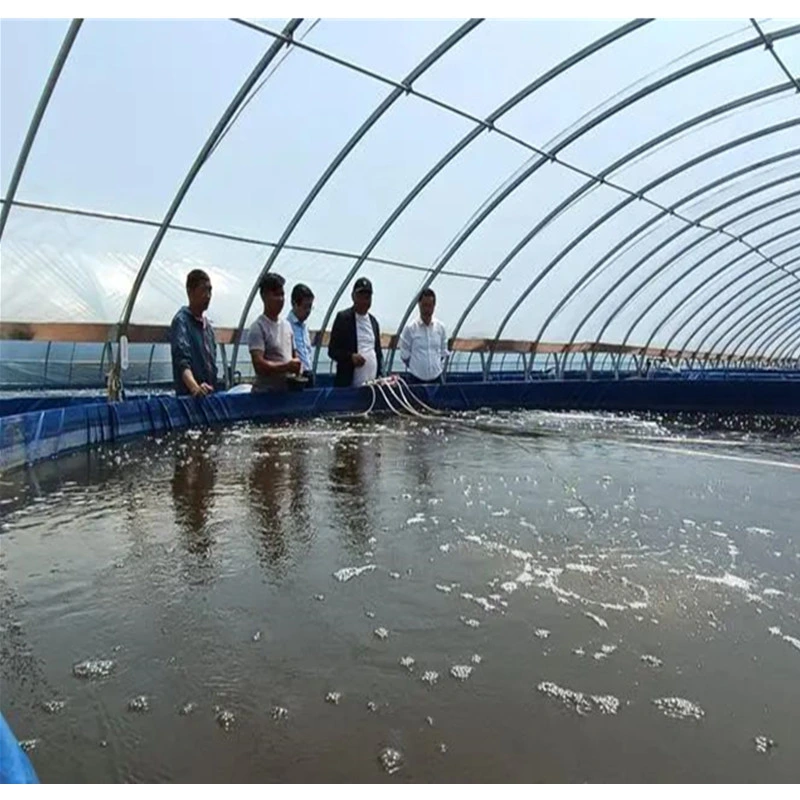 Film-Coated Greenhouse with Anti-Corrosion Treatment