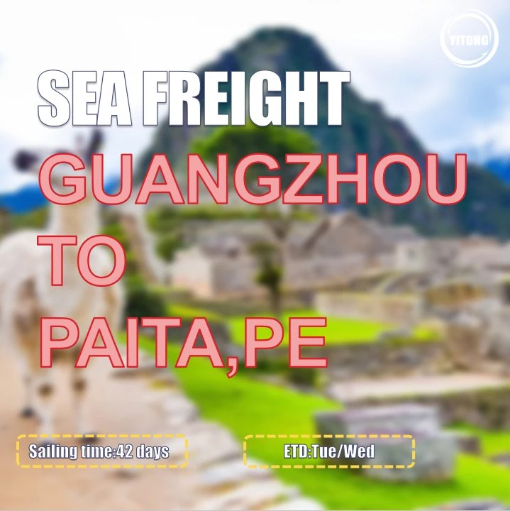 Sea Freight Rates Per Kg From Shenzhen to Paita Peru